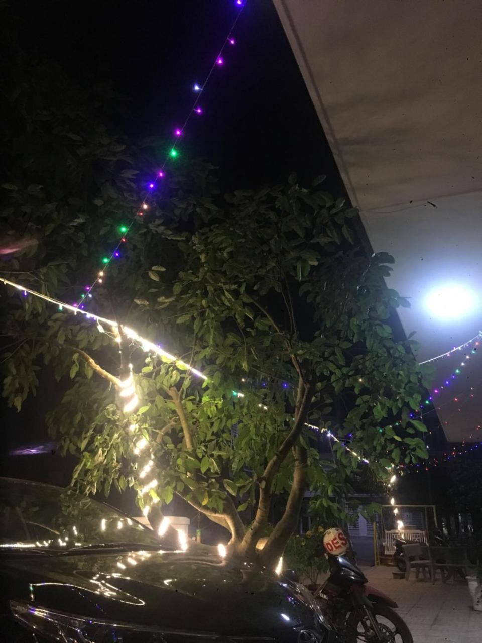 Hoang Minh 846 Hostel Vũng Tàu Eksteriør billede
